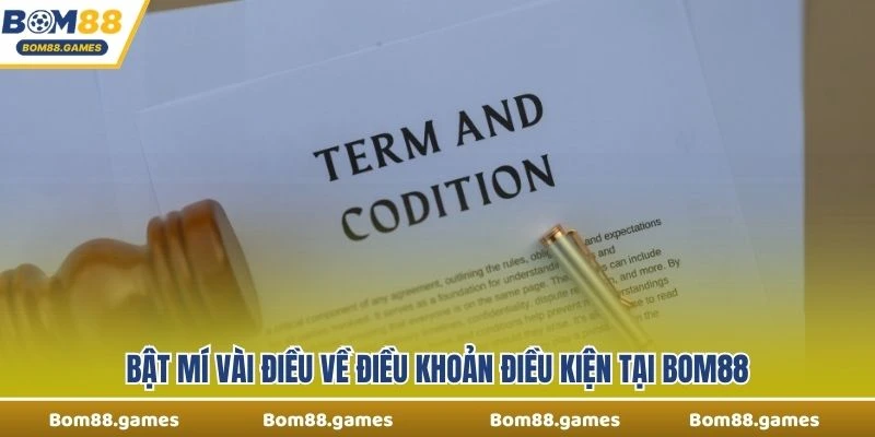 Bật mí vài điều về điều khoản điều kiện tại Bom88