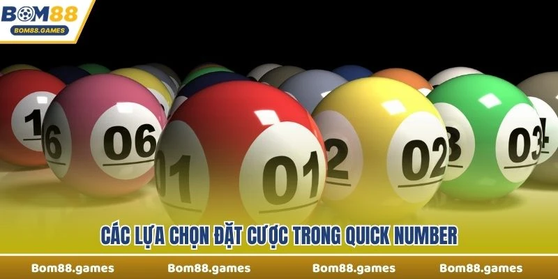 Các lựa chọn đặt cược trong Quick Number