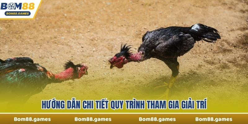 Hướng dẫn chi tiết quy trình tham gia giải trí