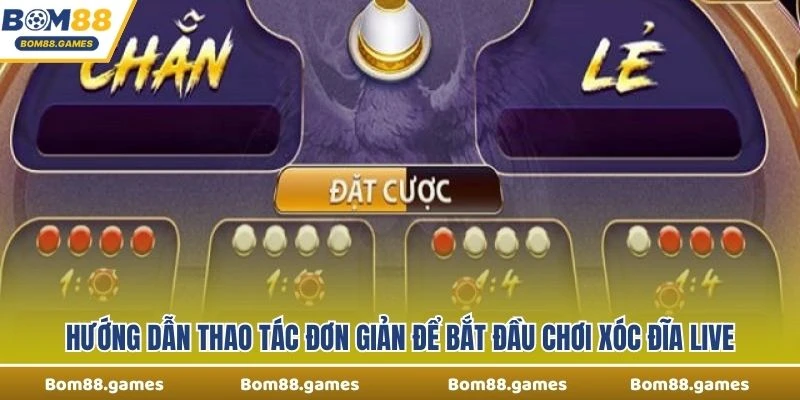 Hướng dẫn thao tác đơn giản để bắt đầu chơi Xóc Đĩa Live