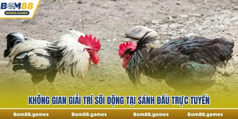 Không gian giải trí sôi động tại sảnh đấu trực tuyến