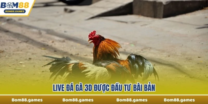 Live Đá Gà 3D được đầu tư bài bản