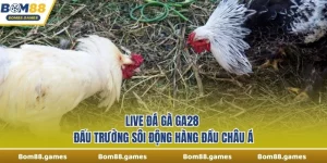 Live Đá Gà Ga28