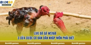 Live Đá Gà WS168
