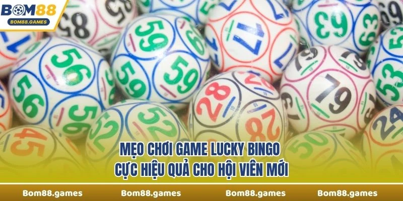 Mẹo chơi Game Lucky Bingo cực hiệu quả cho hội viên mới