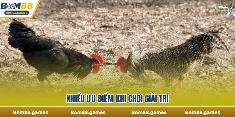 Nhiều ưu điểm khi chơi giải trí