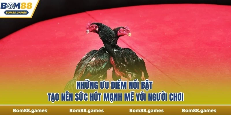 Những ưu điểm nổi bật tạo nên sức hút mạnh mẽ với người chơi